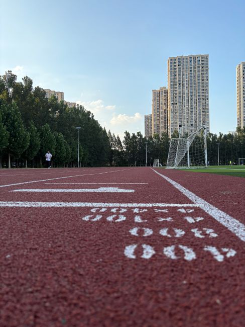 美国公开赛夺冠热门观察 舍夫勒和麦克罗伊领衔